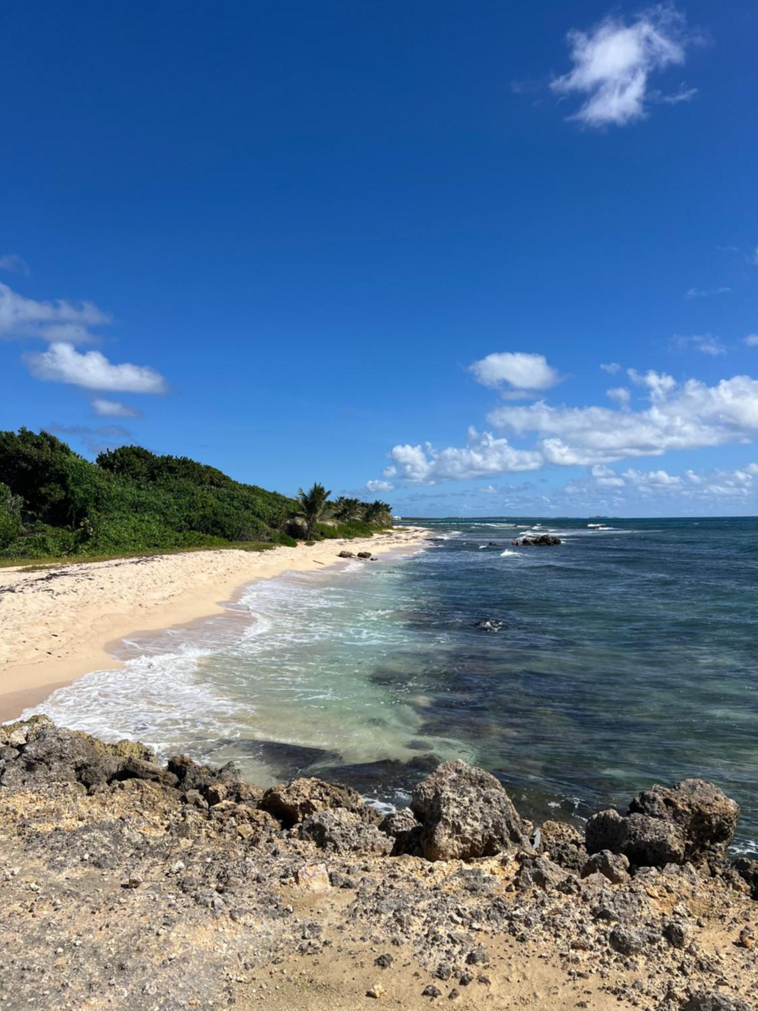 Studio Bord De Mer Avec Piscine - Le Manganao, Saint-Francois ภายนอก รูปภาพ